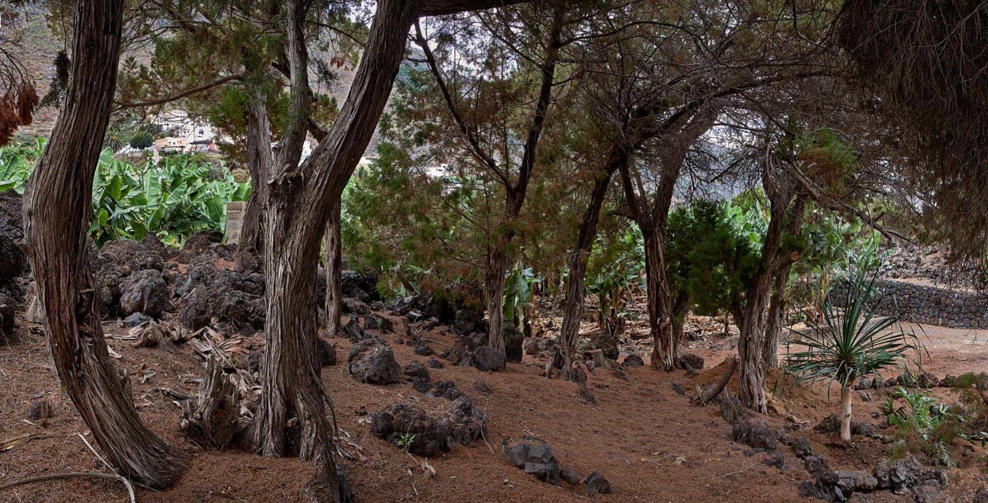 Las Sabinas Villa - El Guincho, Garachico Garachico  Esterno foto